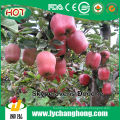 2014 China frescas manzanas rojas con el precio más bajo